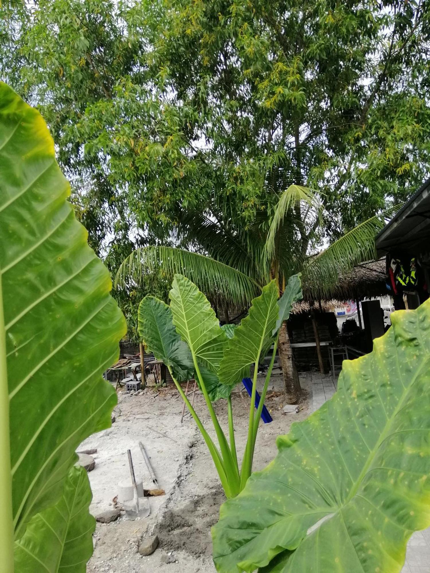 Albergue Katrina'S Dorm Tarlac City Exterior foto